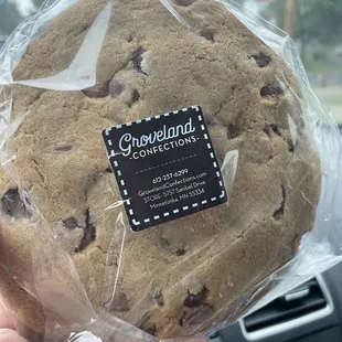 a hand holding a chocolate chip cookie