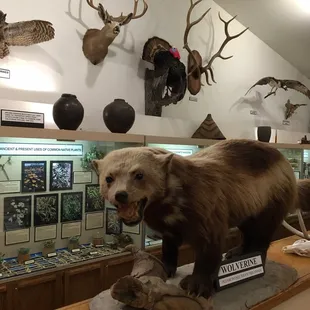 Stuffed animals from local area