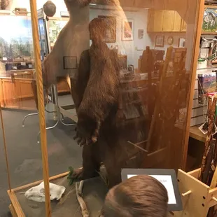Huge bear welcomes visitors
