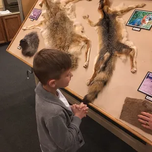 My son loved seeing animals and touching furs
