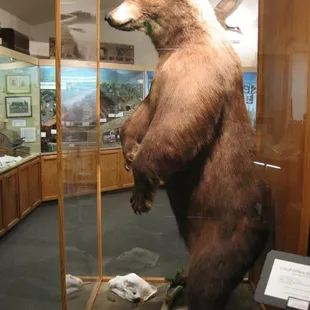 Our Museum Ambassador