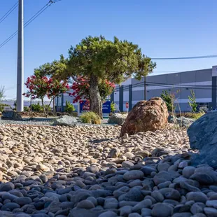 Grover is proud to partner with Frito Lay on an impactful turf conversion project. We've transformed 2 acres of irrigated turfgrass into bea