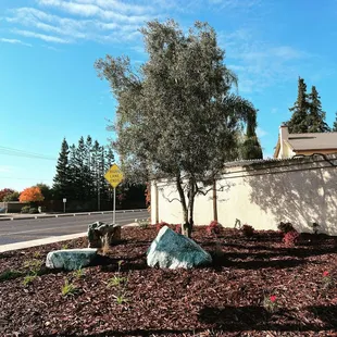 Small Focal Point - BIG IMPACT!

Renovation team just finished up a small design-build job at the corner of an intersection.