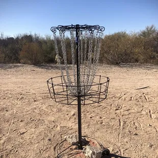 Playing the XL layout of the Tucson Disc Golf Club Championship