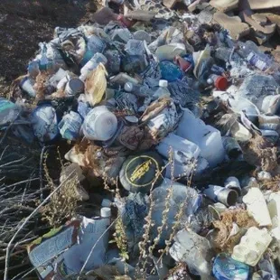 When you're surge lands in a pile of trash ugh ‍