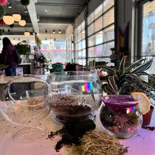 Enjoy sipping on our crafted Cocktails or Cocktails while building a terrarium at the Plant Bar!