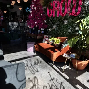 Coffee, Cocktails, Plants
