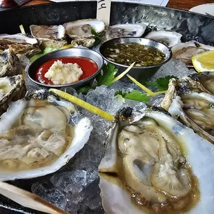 Oysters on the Half Shell