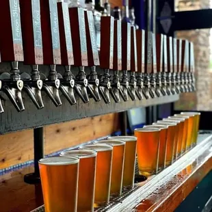 a row of beer glasses