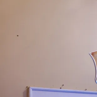 Cockroach on left midway