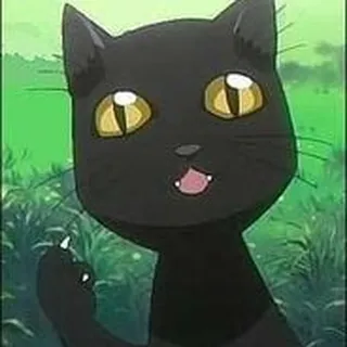 Kitty O.