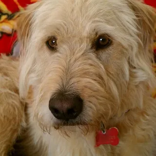 Baylee G.