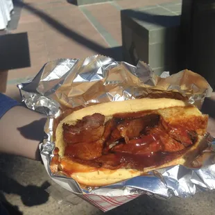 a person holding a hot dog