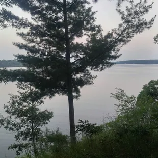 Great food, great scenery and great service!