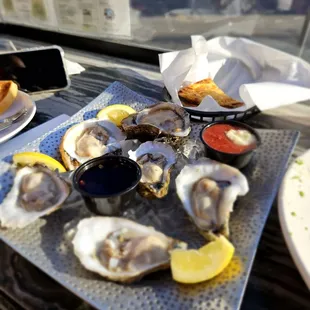 Oysters on a shell