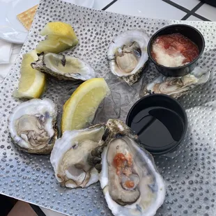 Oysters