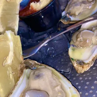 Raw Oysters
