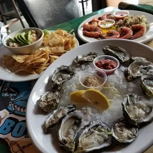 Oysters on the Half Shell