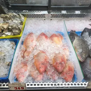 a display of fresh seafood in a case