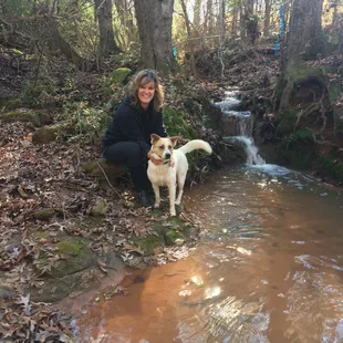 Beautiful Steam with path!