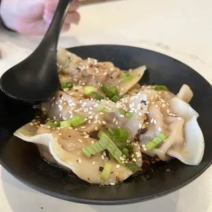 Half Order Pork Zhong Style Dumplings