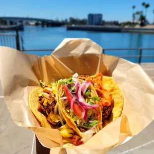 Guac N Roll Tacos- Al pastor, Carnitas, Korean Short Rib