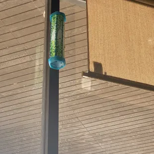 This place has way too many flies and the fly trap was right about my table.