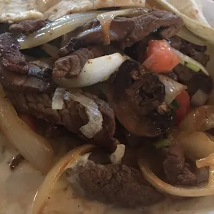 A peek inside super chihuahua