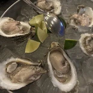 oysters and mussels, shellfish, mussels, food, oysters