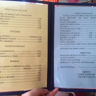 a hand holding a menu