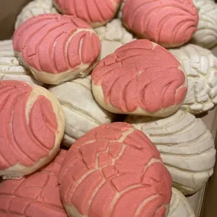 Conchas