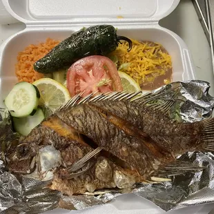 a fish in a styrofoam container
