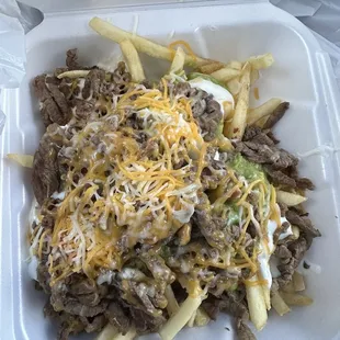 Half Carne Asada Fries