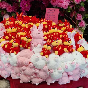 Year of the Rabbit 2023