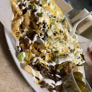 Carne Asada Fries