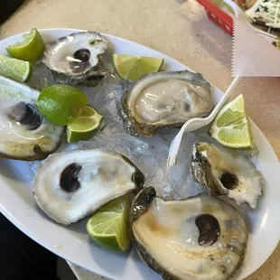 shellfish, oysters, food, oysters and mussels, mussels