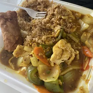 Chicken Curry Dinner Meal extra spicey