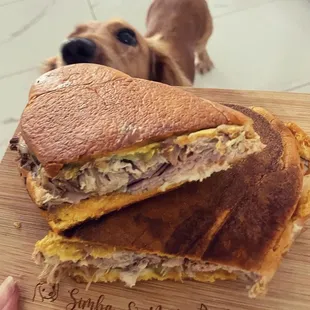 sandwich, sandwiches, food