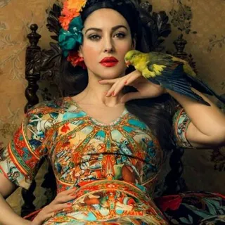 Irania L.