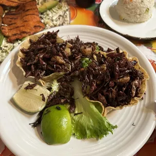 Chapulines ala carte