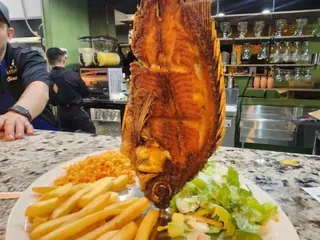 House of Flavor Mexican Grill