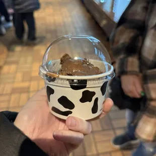 Chocolate peanut butter