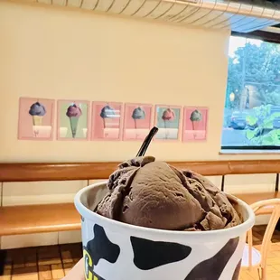 Blueberry &amp; chocolate double scoop