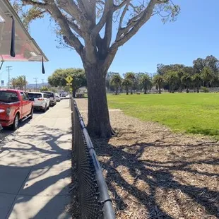 a food truck parked next to a tree