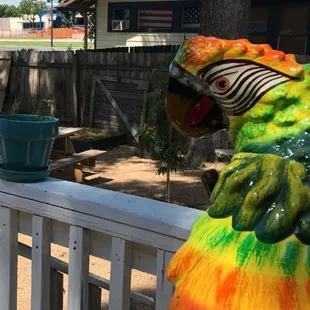 a colorful parrot on a fence