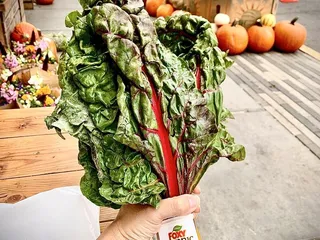 Gus's Community Market