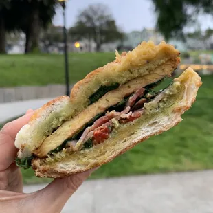 Chicken panini