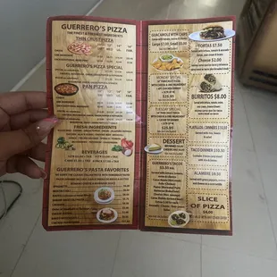 a hand holding a menu