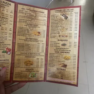 a hand holding a menu