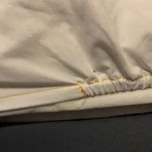 Red tick on the bed sheet :(